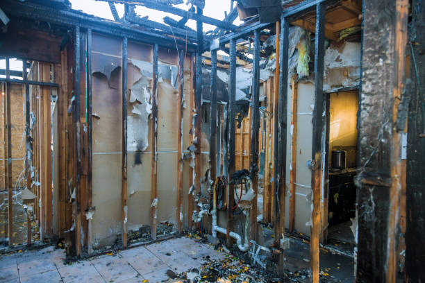 Professional Fire Damage Removal technician working in Lakeland, NY